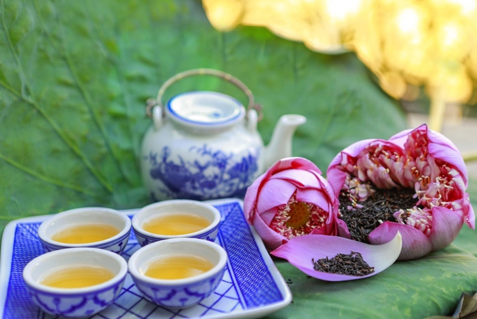 hues lotus tea the fine art in the making