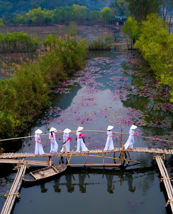 vietnamese photographer wins first prize in spring2020