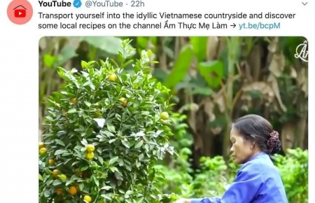 Vietnamese cooking channel won praise from Youtube