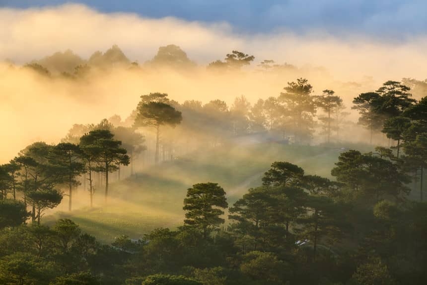 da lat in sea of clouds a must visit hidden gem