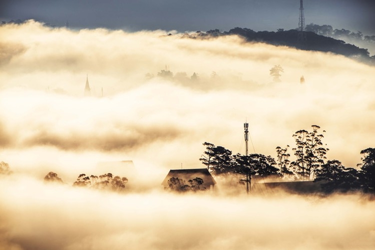 da lat in sea of clouds a must visit hidden gem