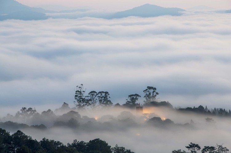 da lat in sea of clouds a must visit hidden gem