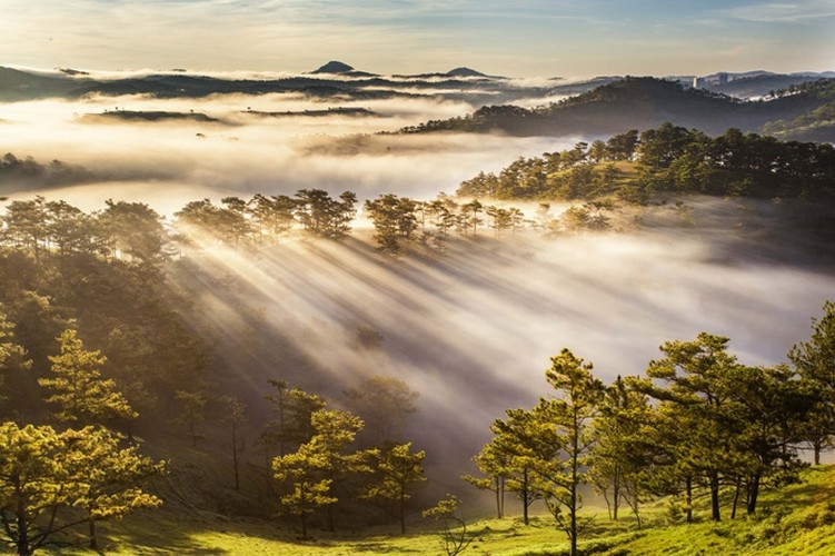 da lat in sea of clouds a must visit hidden gem