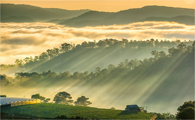 da lat in sea of clouds a must visit hidden gem