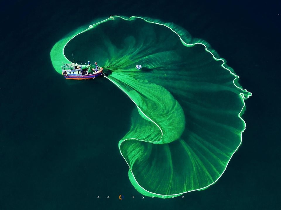 gorgeous anchovy catching scenes in hon yen islet