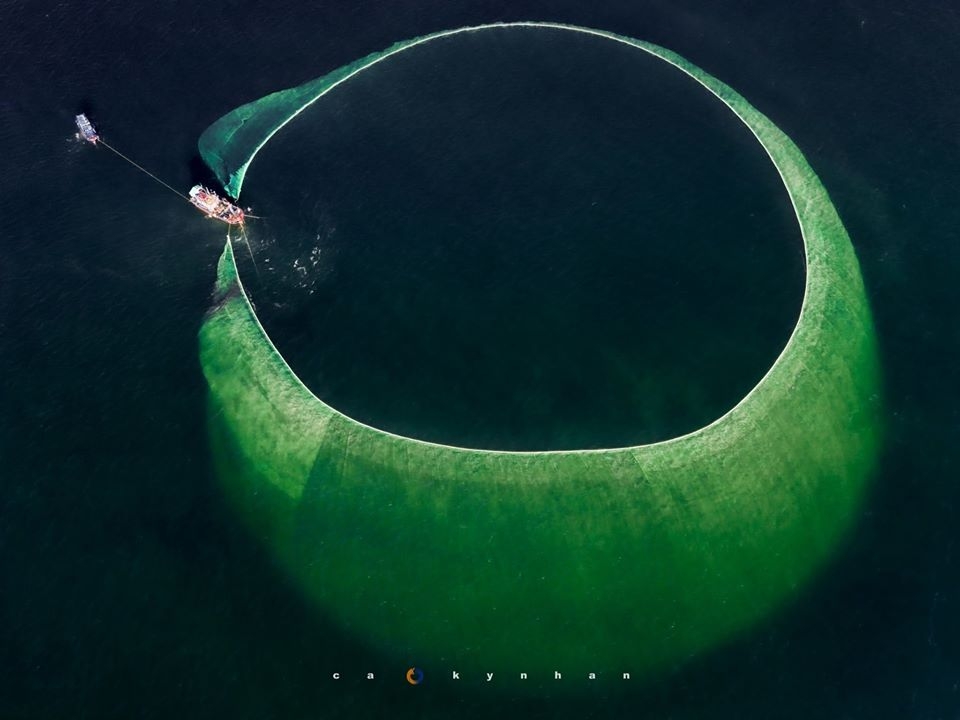 gorgeous anchovy catching scenes in hon yen islet