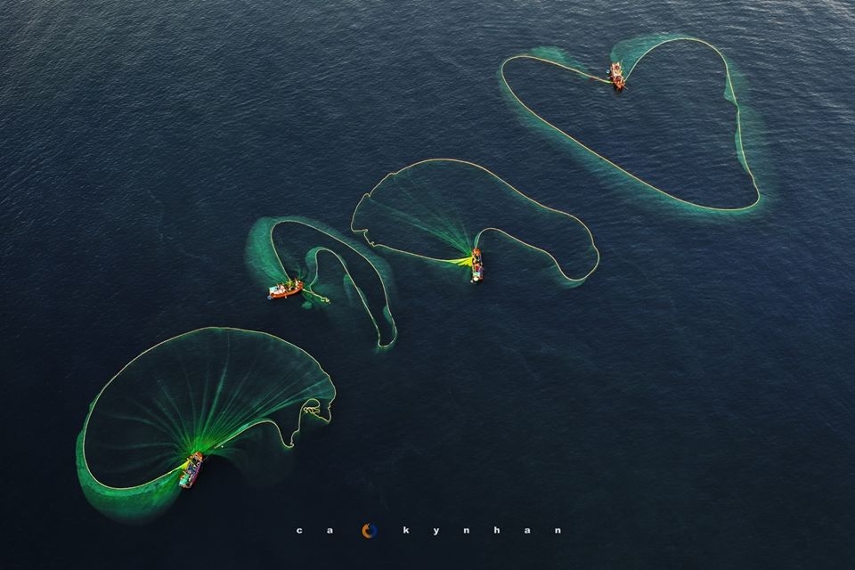 gorgeous anchovy catching scenes in hon yen islet