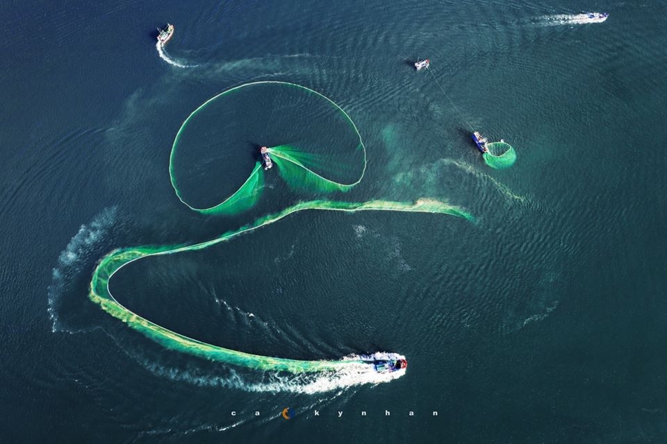 gorgeous anchovy catching scenes in hon yen islet