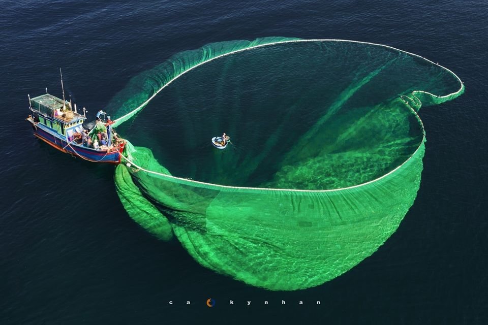 gorgeous anchovy catching scenes in hon yen islet