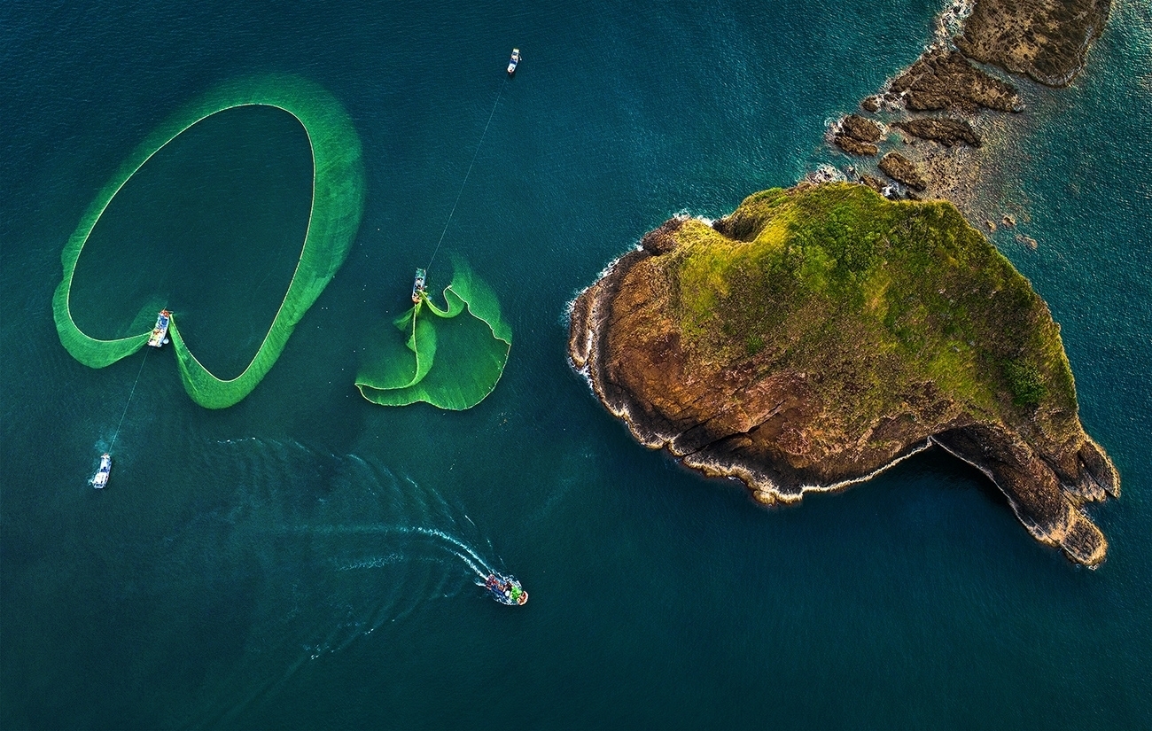 gorgeous anchovy catching scenes in hon yen islet