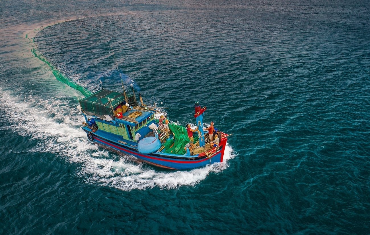 gorgeous anchovy catching scenes in hon yen islet