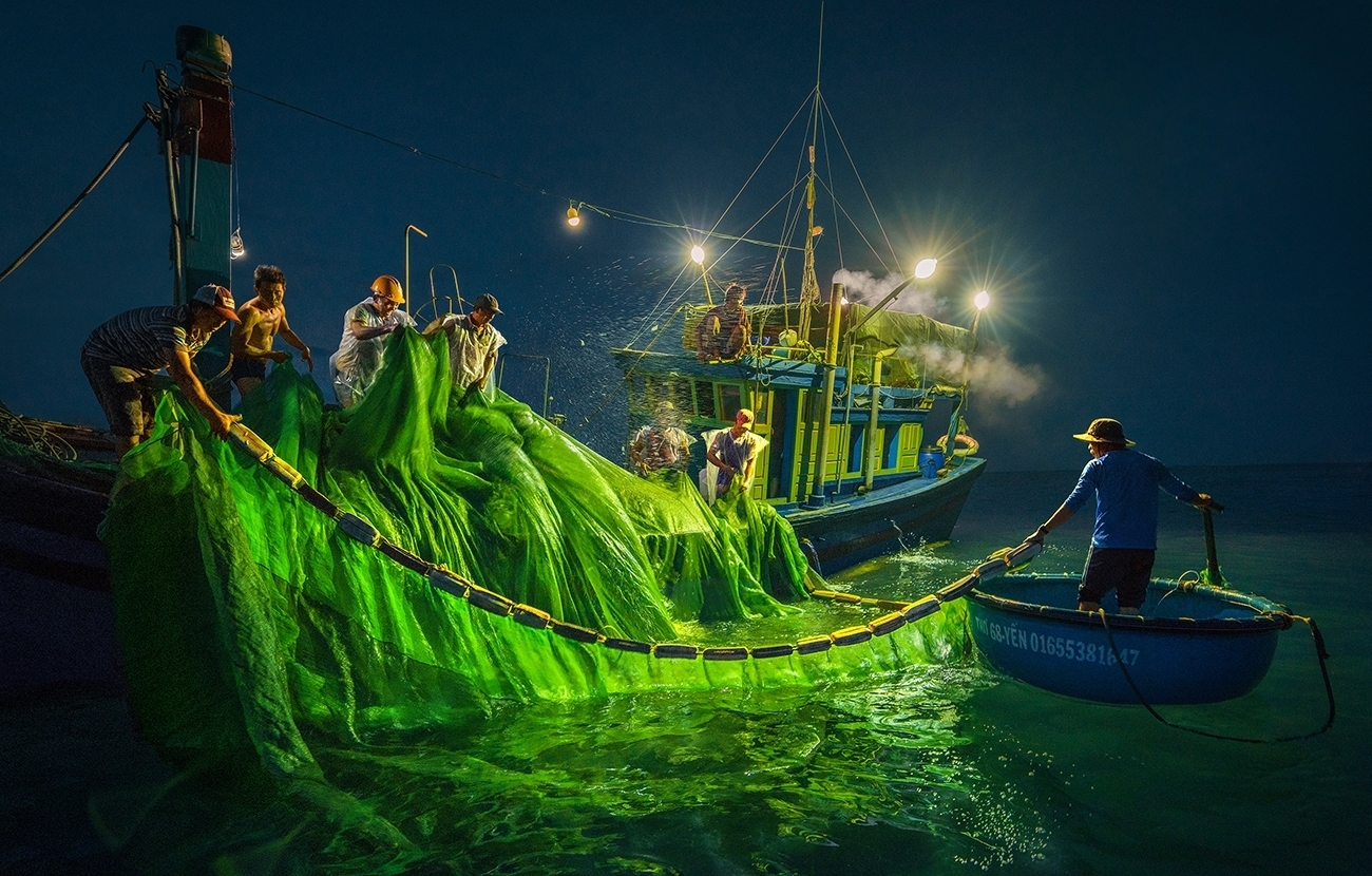 gorgeous anchovy catching scenes in hon yen islet