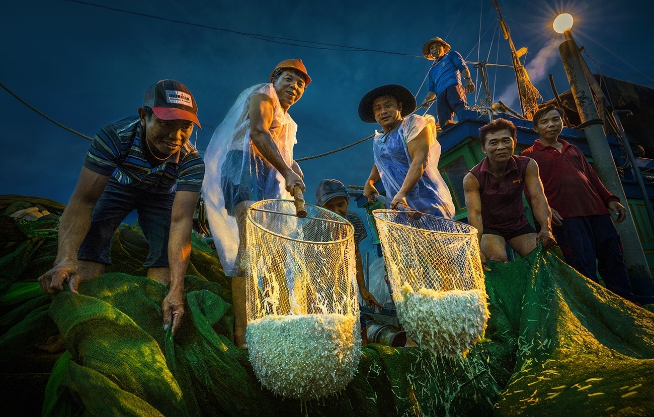 gorgeous anchovy catching scenes in hon yen islet