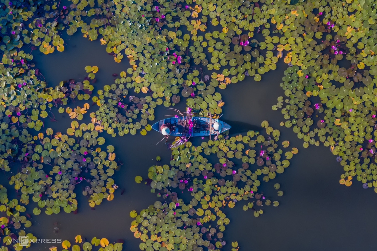 Water lily lagoon at the foot of Eo Gio pass