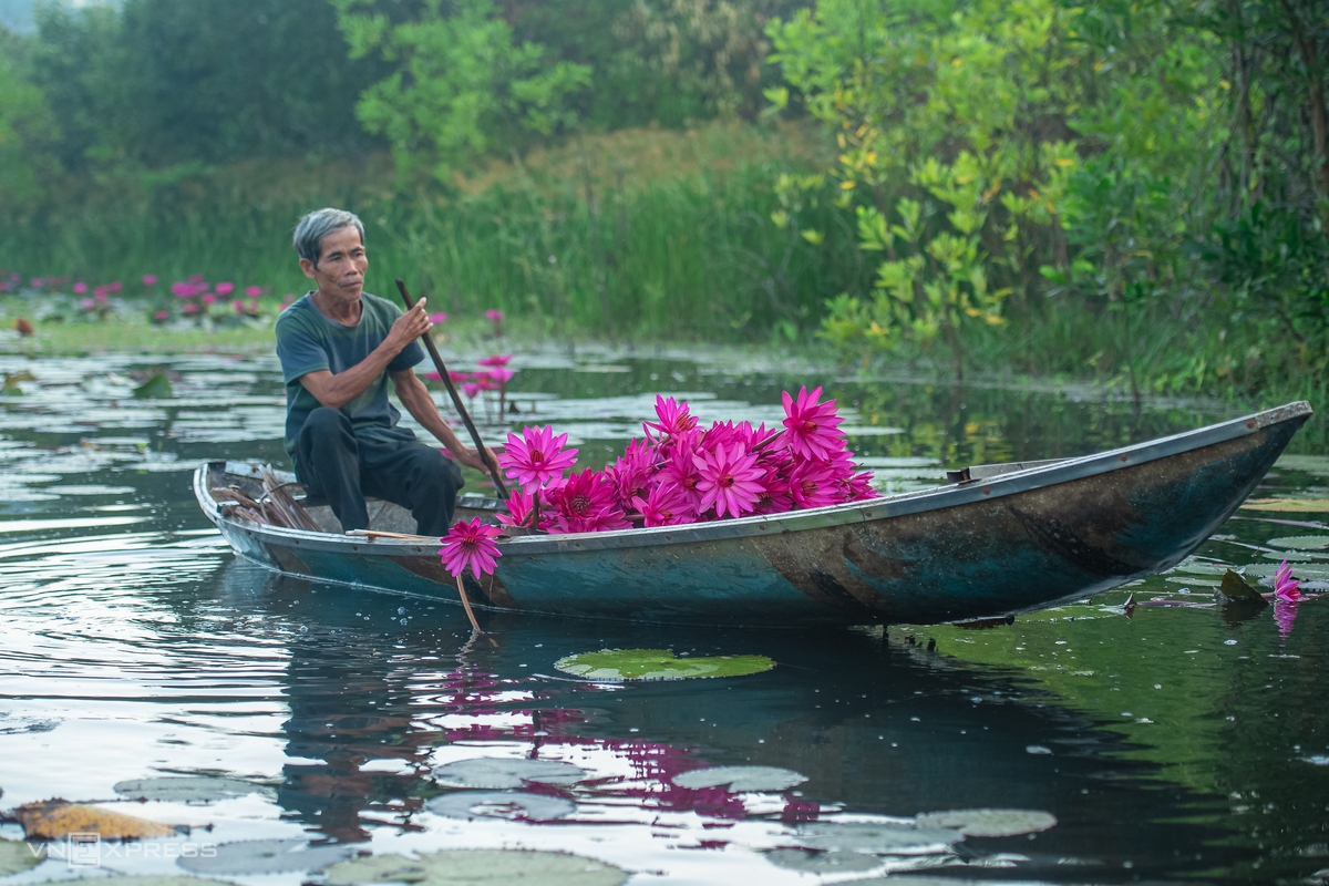 Water lily lagoon at the foot of Eo Gio pass