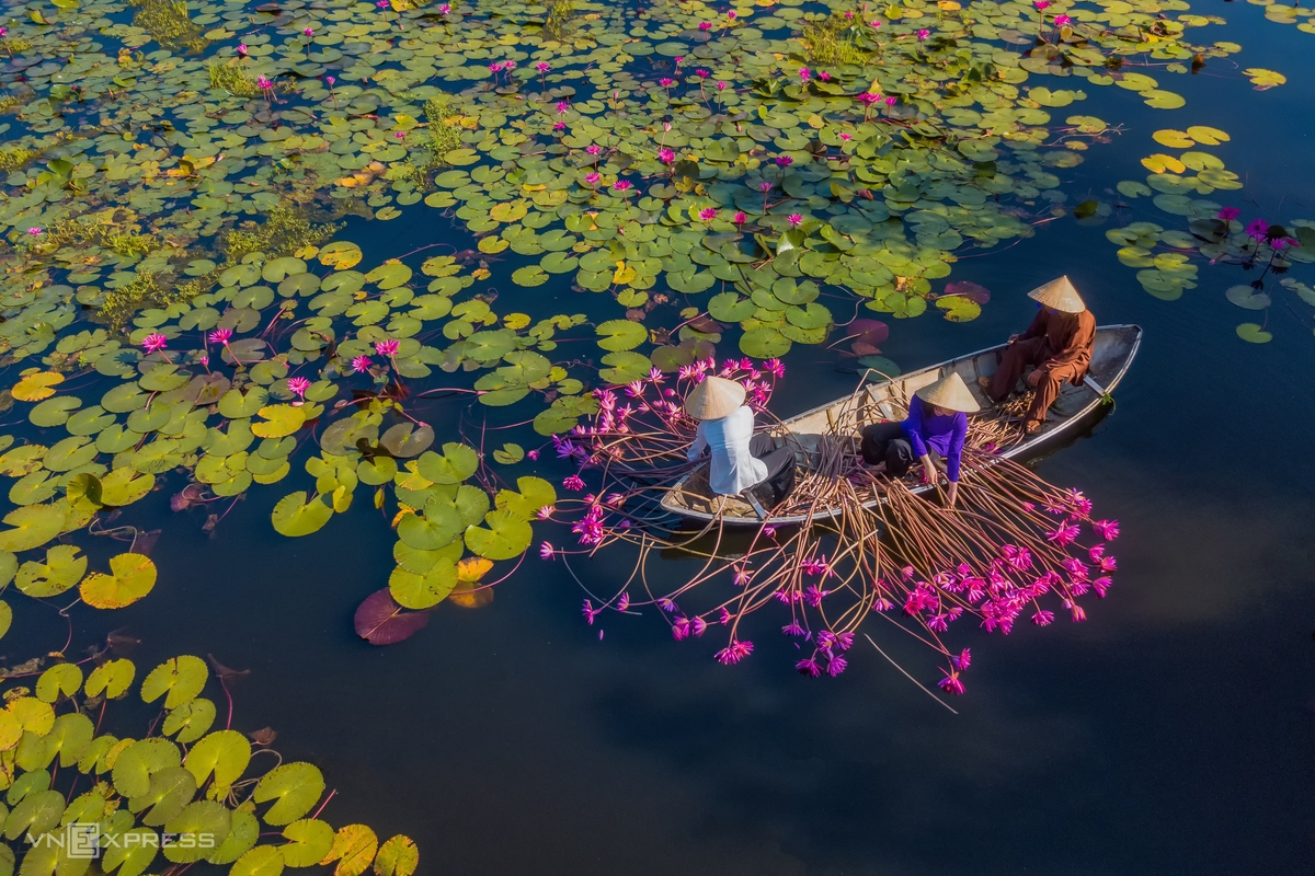 Water lily lagoon at the foot of Eo Gio pass