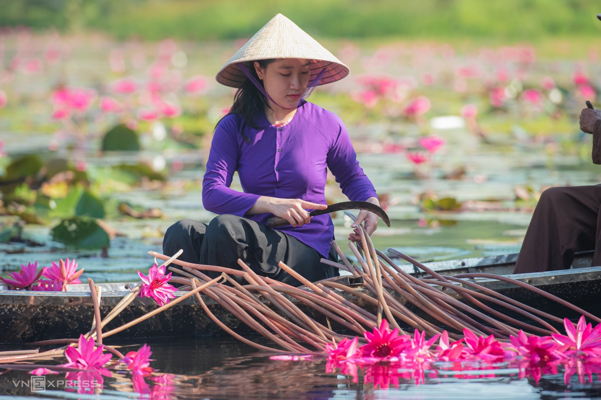 Water lily lagoon at the foot of Eo Gio pass