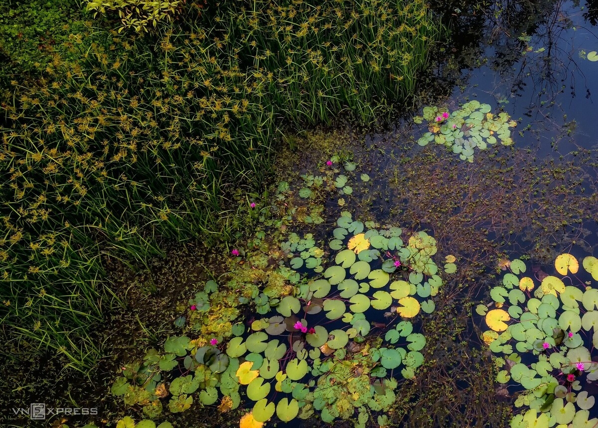 Water lily lagoon at the foot of Eo Gio pass