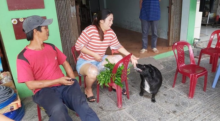 dog with lottery tickets on mouth helps handicapped owner earn a livelihood