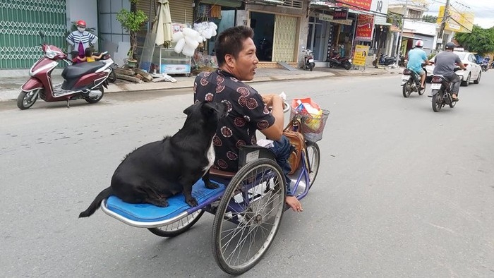 dog with lottery tickets on mouth helps handicapped owner earn a livelihood