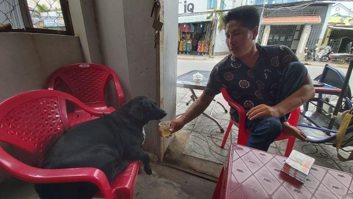 dog with lottery tickets on mouth helps handicapped owner earn a livelihood