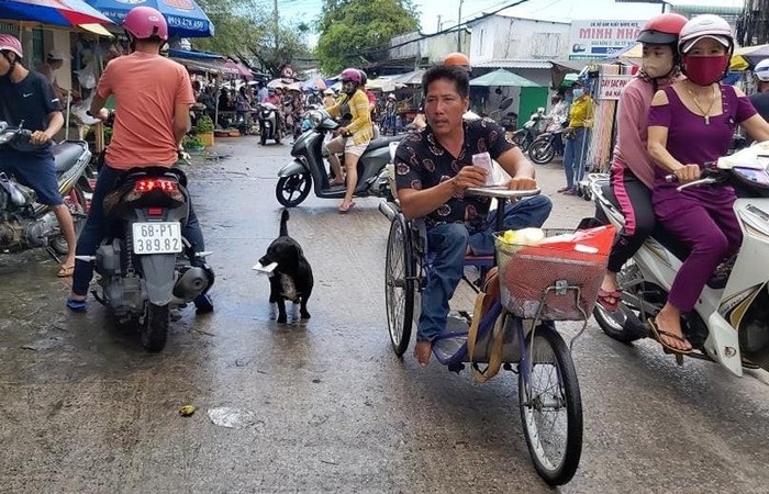 Dog helps Vietnamese handicapped owner sell lottery ticket, pick up charitable rice