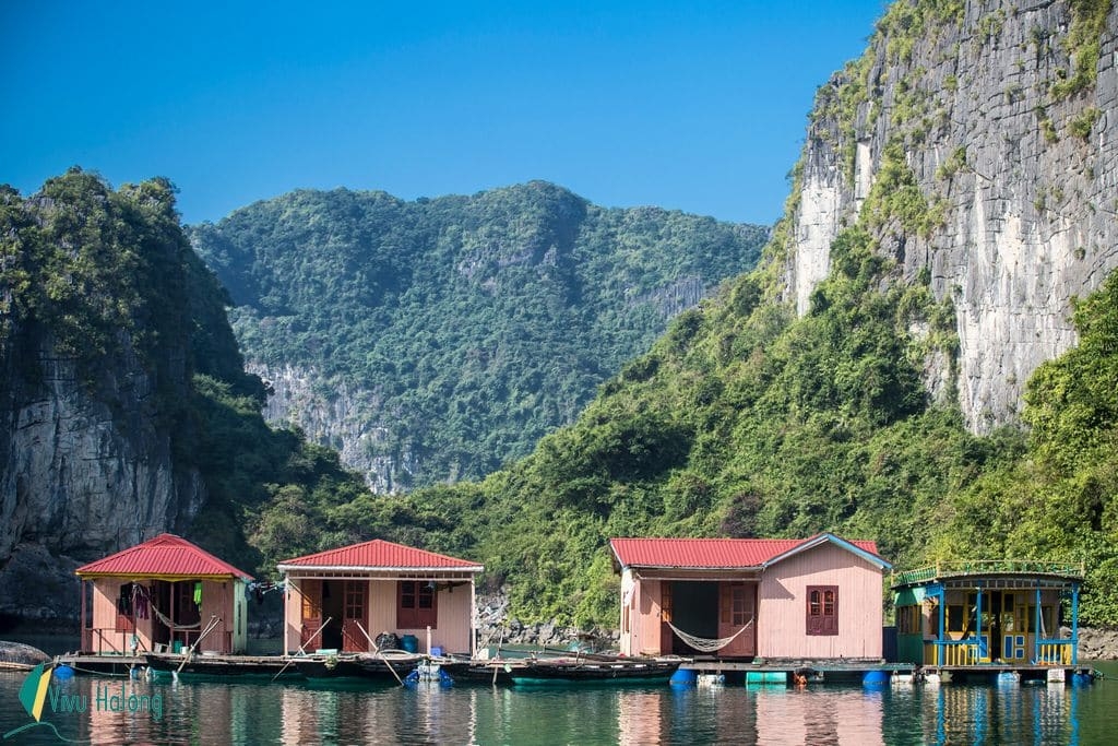 vietnams bai tu long bay under the camera of foreigner