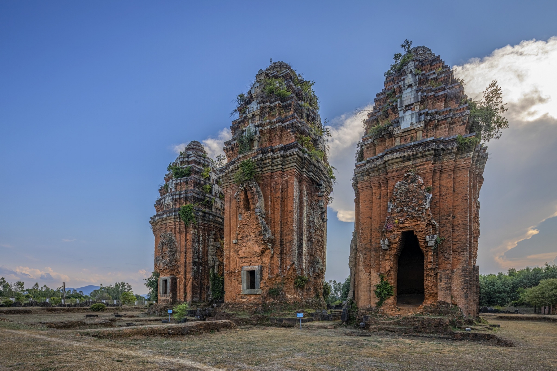 a glimpse into the wild and peaceful quy nhon