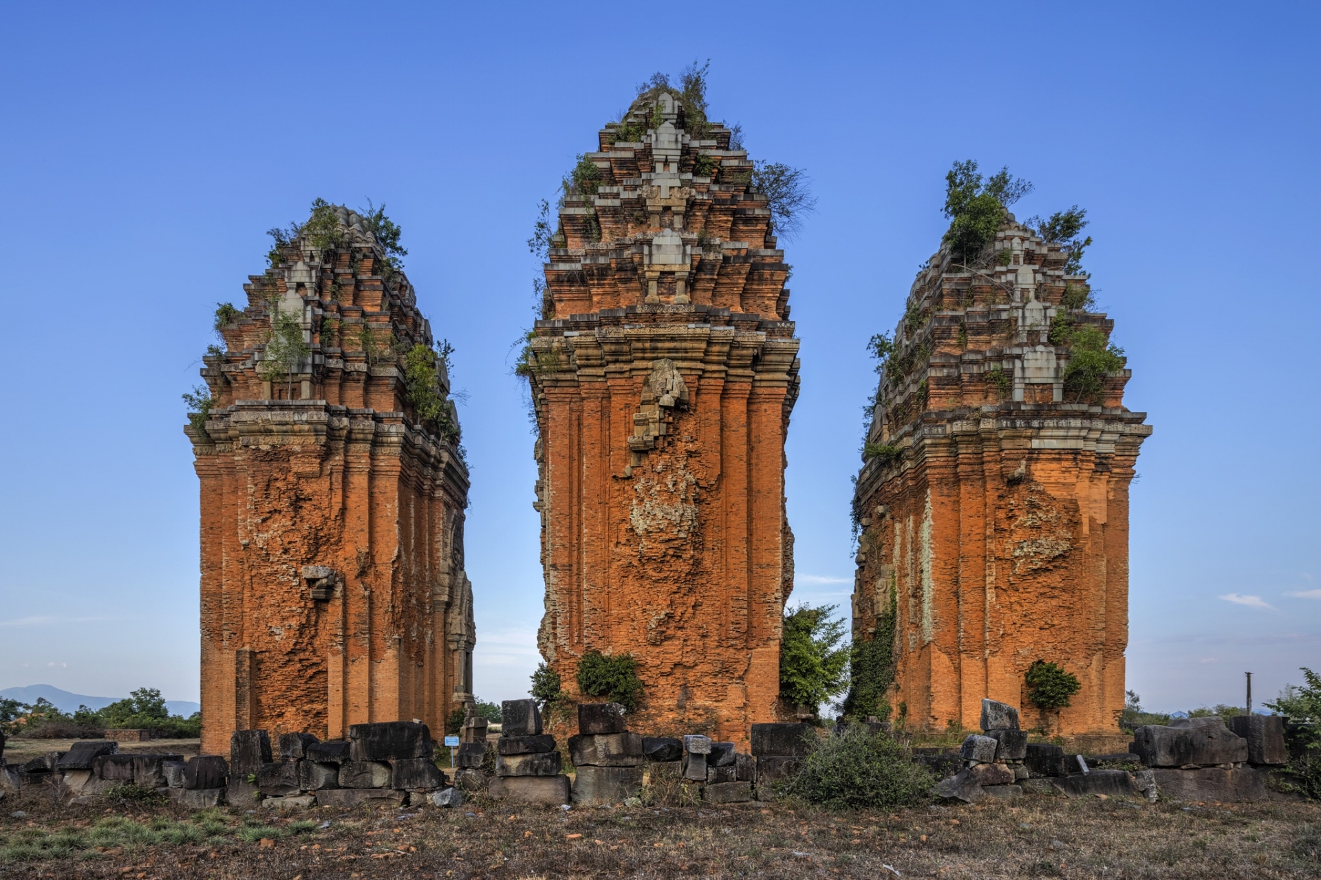 a glimpse into the wild and peaceful quy nhon