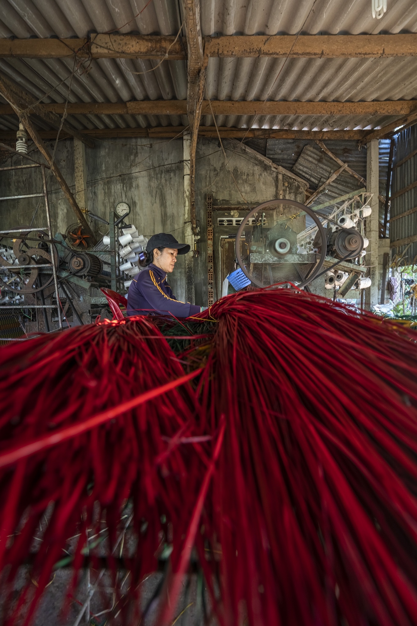 a glimpse into the wild and peaceful quy nhon