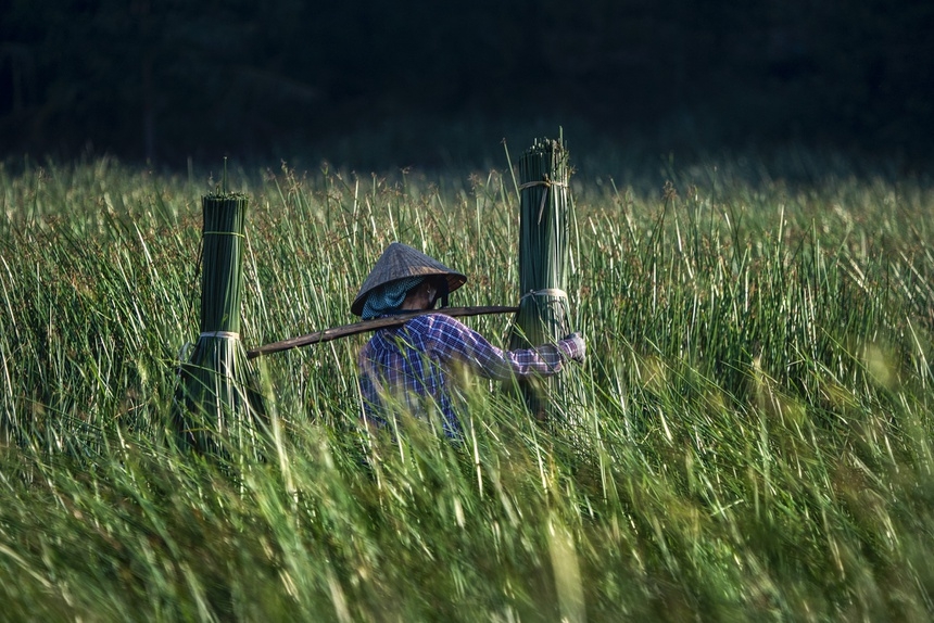 a glimpse into the wild and peaceful quy nhon