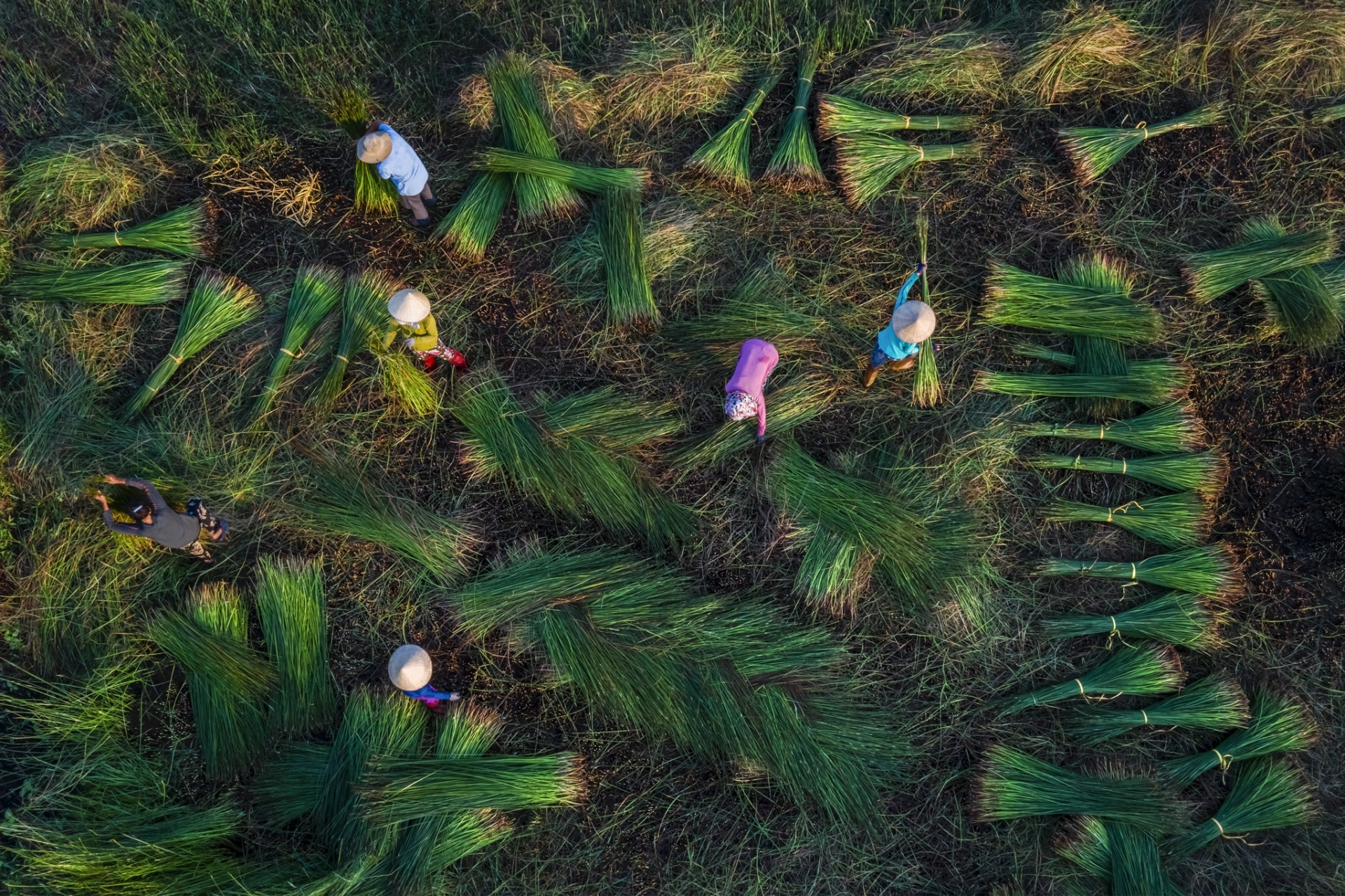 a glimpse into the wild and peaceful quy nhon