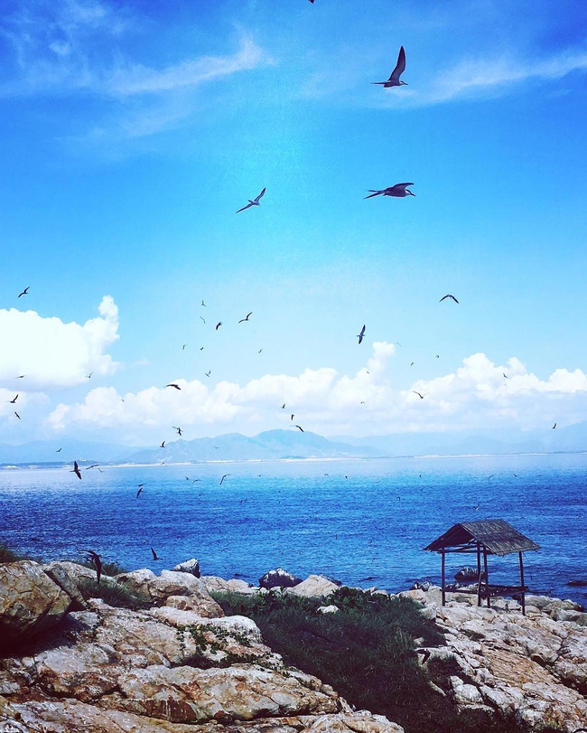 Top 3 breathtaking undersea paths in Vietnam top 3 breathtaking undersea paths in vietnam