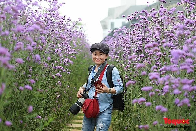 Enchanting violet flowers colors the dreamy northern town of Sapa