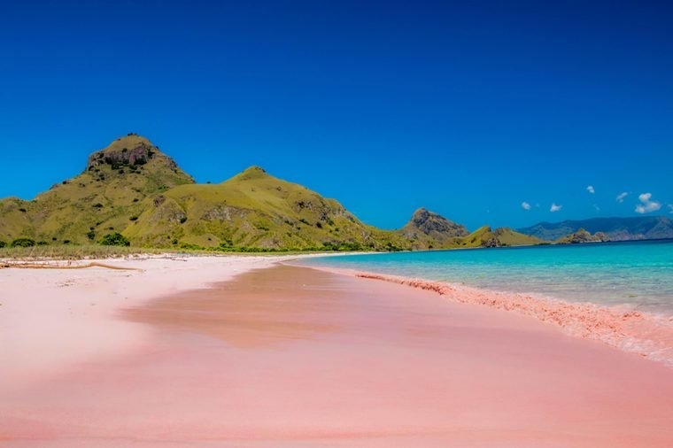 peachy pink sand beach a sense of romance during hot summer days