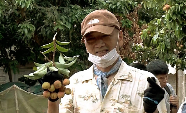 pick off and enjoy lychees model attracts japanese visitors