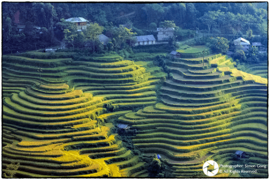 expat in vietnam vietnams beauty leaves me speechless