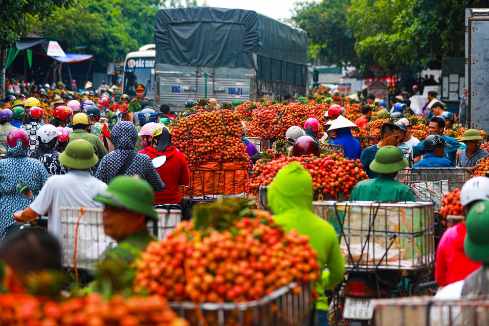 Bac Giang market painted red with large dots of ripe lychee