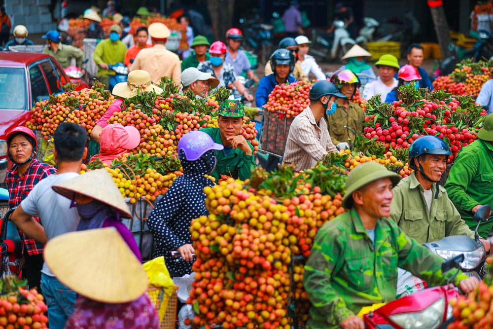 Bac Giang market painted red with large dots of ripe lychee