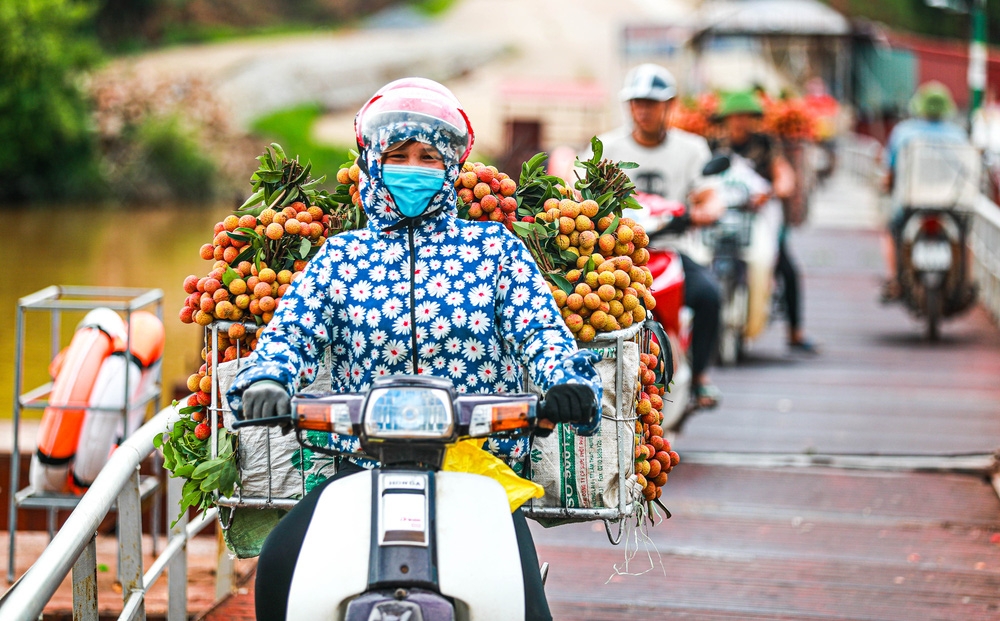 Bac Giang market painted red with large dots of ripe lychee