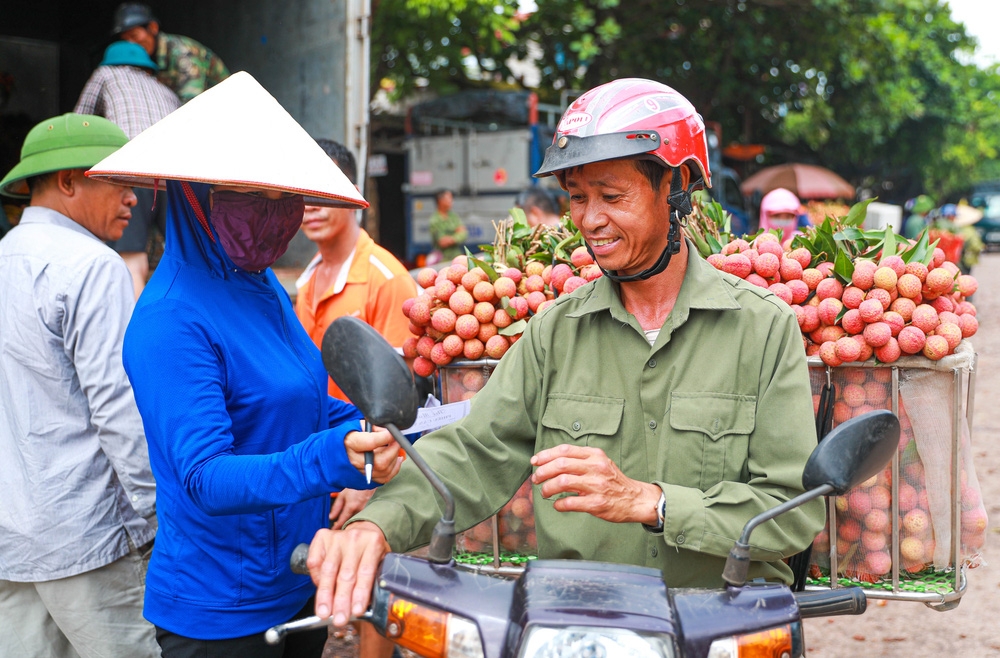 bac giang market painted red on ripe lychee season