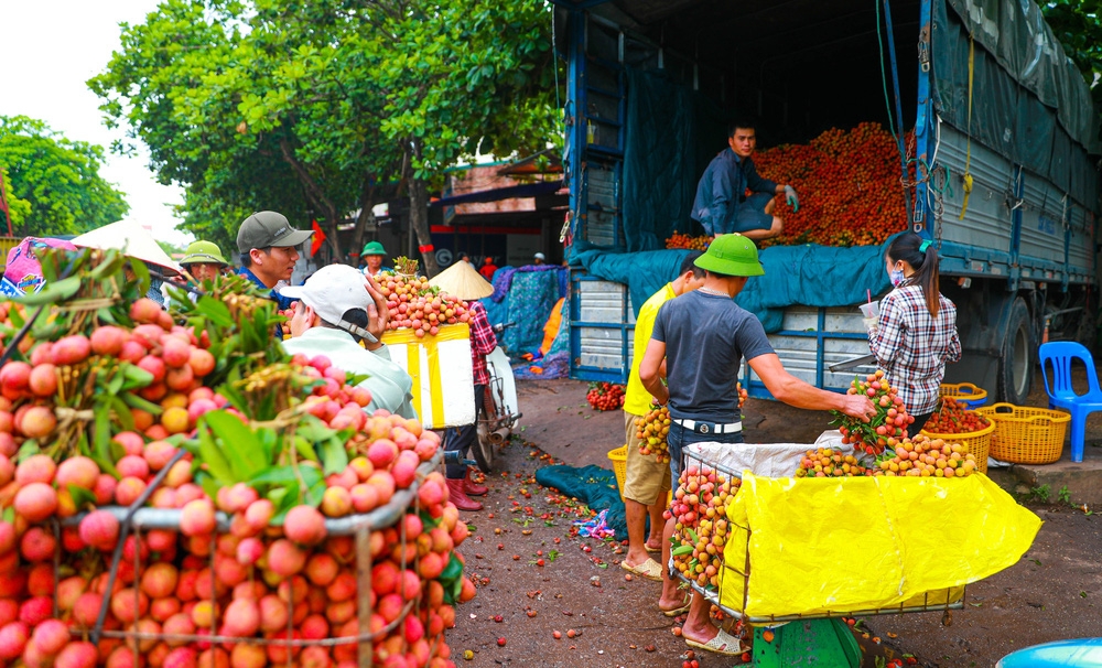 bac giang market painted red on ripe lychee season