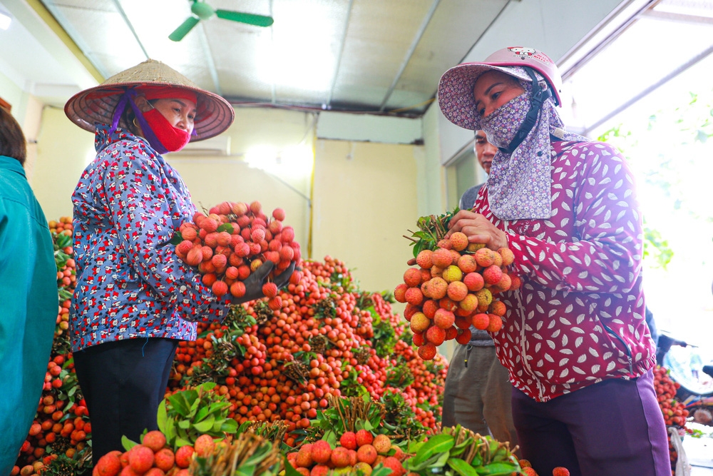 bac giang market painted red on ripe lychee season