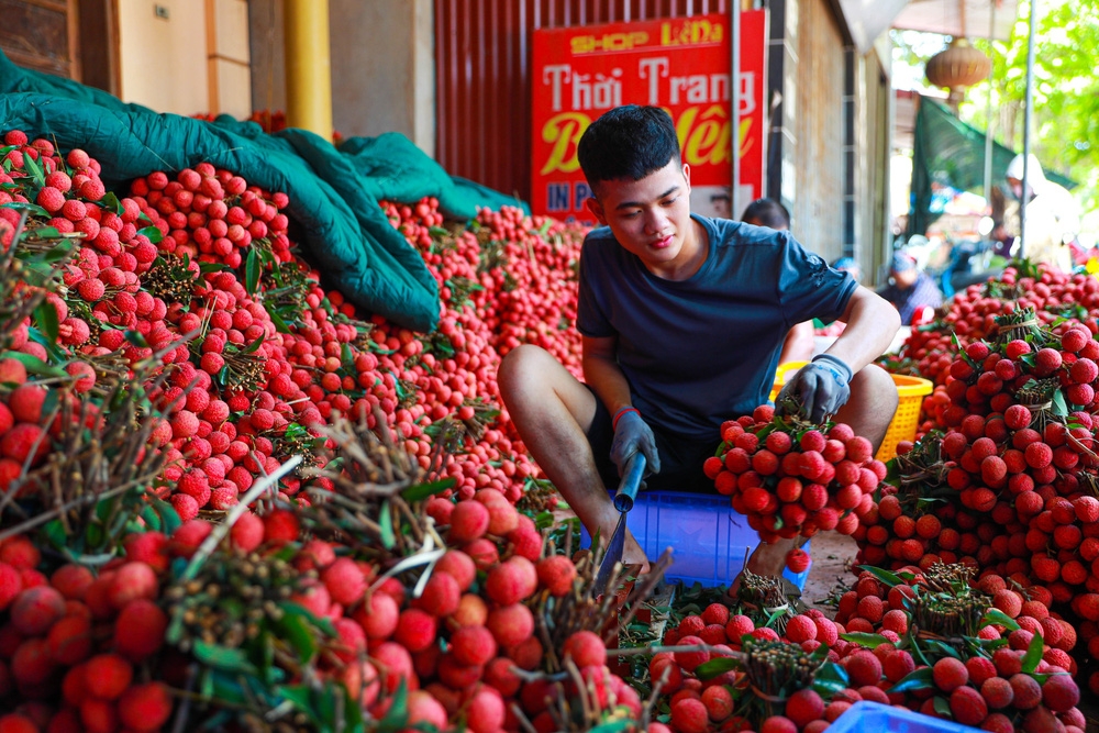 bac giang market painted red on ripe lychee season