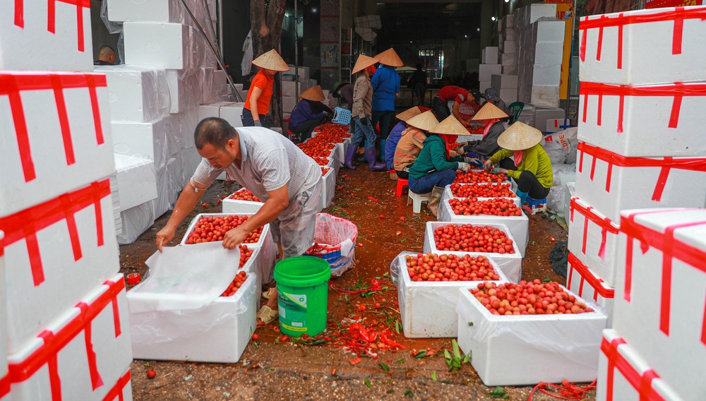 bac giang market painted red on ripe lychee season