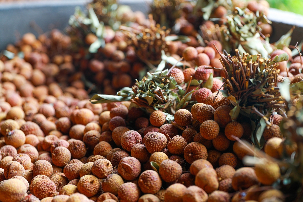 bac giang market painted red on ripe lychee season