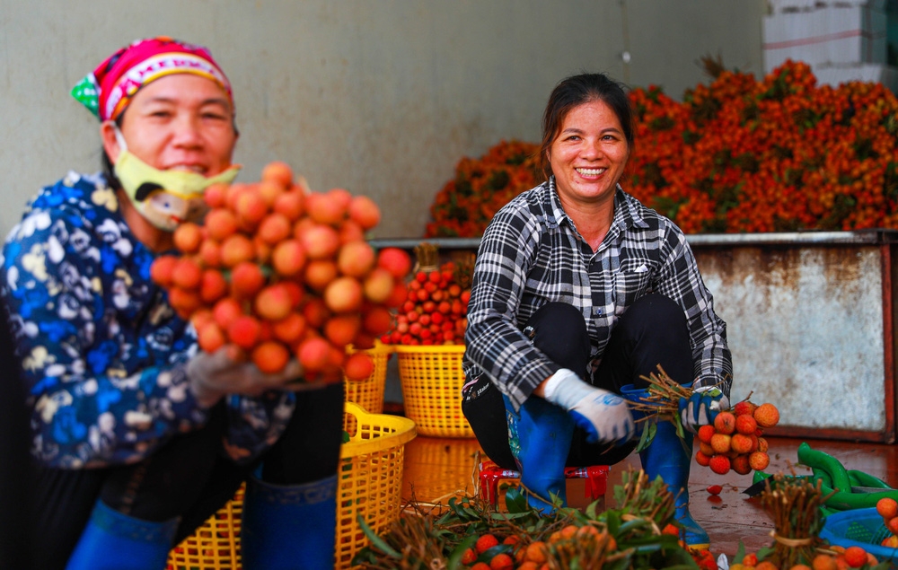 bac giang market painted red on ripe lychee season