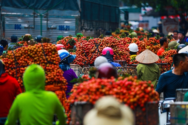 Bac Giang market painted red with large dots of ripe lychee