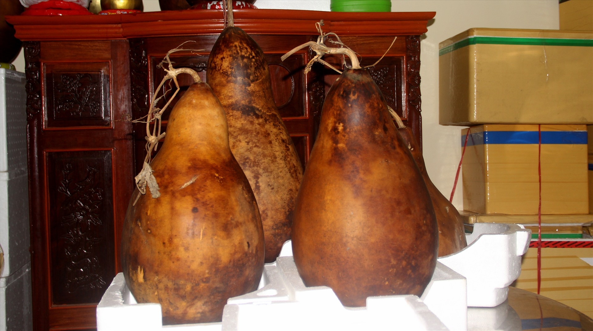 unique 25kg giant gourds in can tho southern vietnam