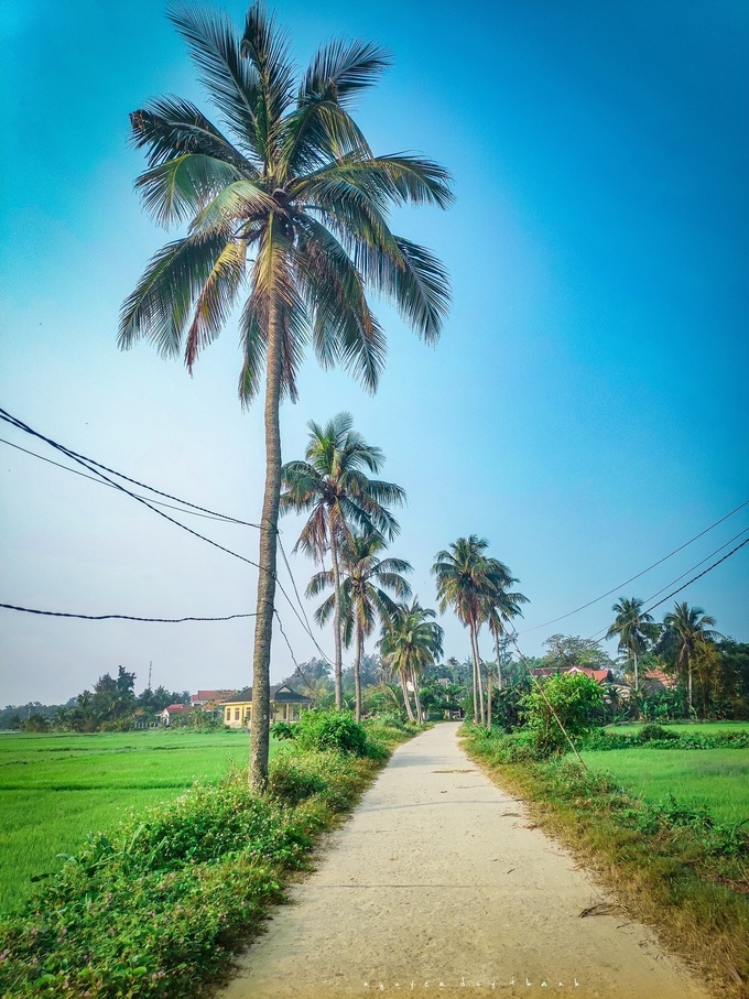 The road leading to Giang Hai beach 